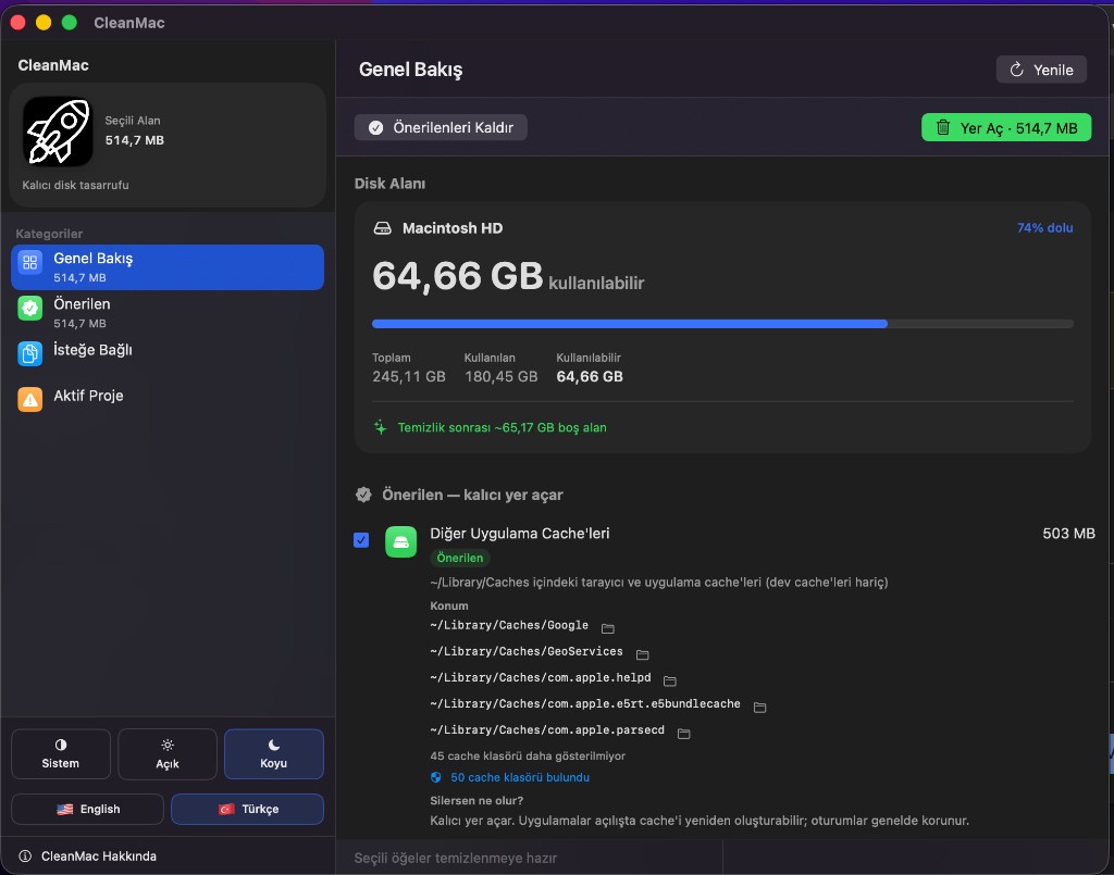 CleanMac website preview